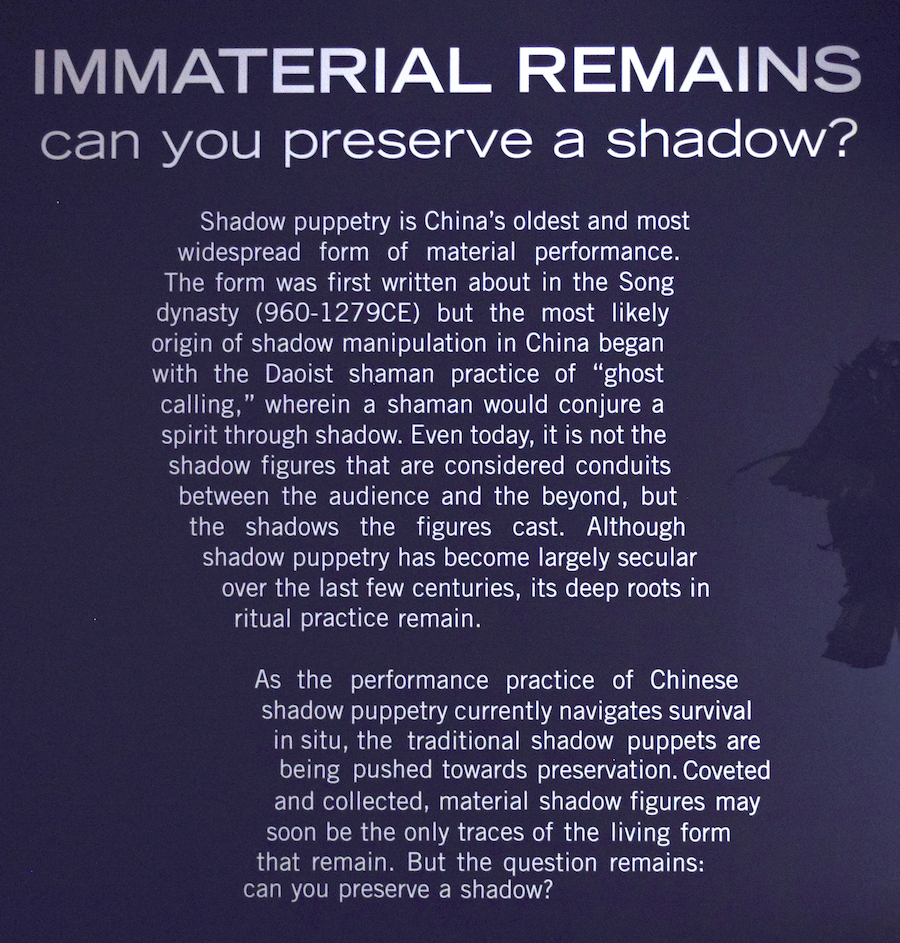 poster for Immaterial remains